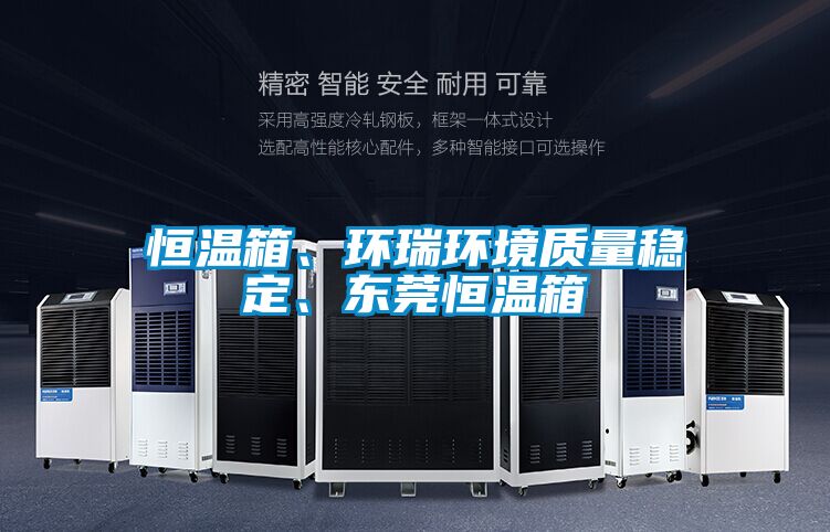 恒溫箱、環瑞環境質量穩定、東莞恒溫箱