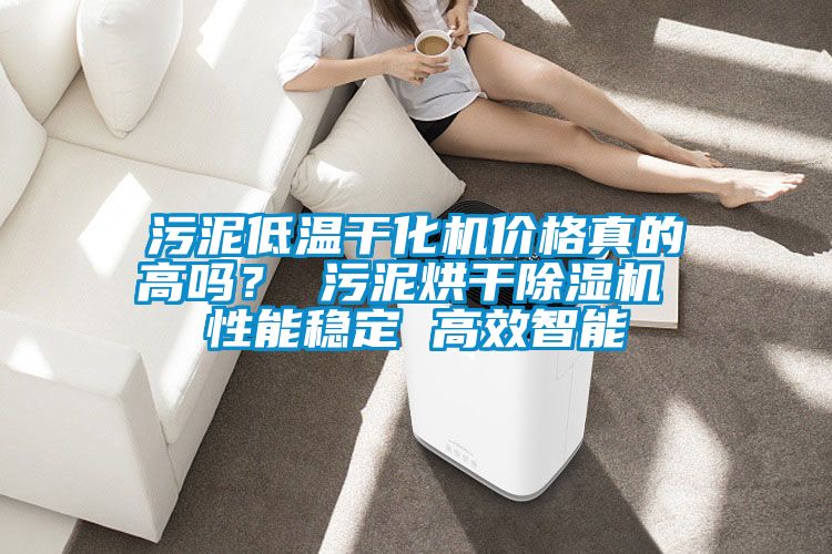 污泥低溫干化機價格真的高嗎？ 污泥烘干除濕機 性能穩(wěn)定 高效智能