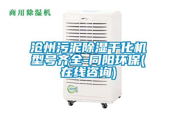 滄州污泥除濕干化機(jī)型號齊全-同陽環(huán)保(在線咨詢)