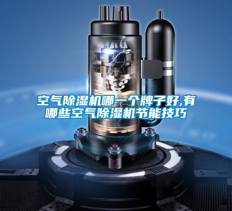 空氣除濕機哪一個牌子好,有哪些空氣除濕機節能技巧