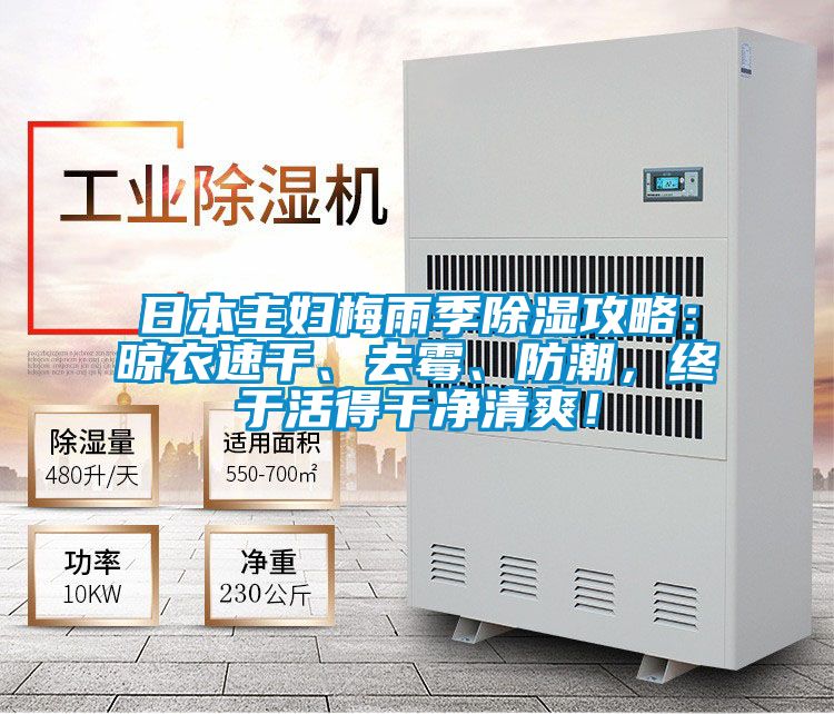 日本主婦梅雨季除濕攻略：晾衣速干、去霉、防潮，終于活得干凈清爽！