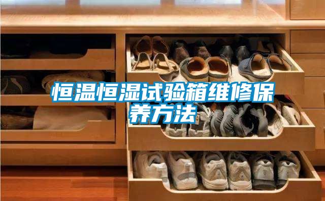 恒溫恒濕試驗(yàn)箱維修保養(yǎng)方法