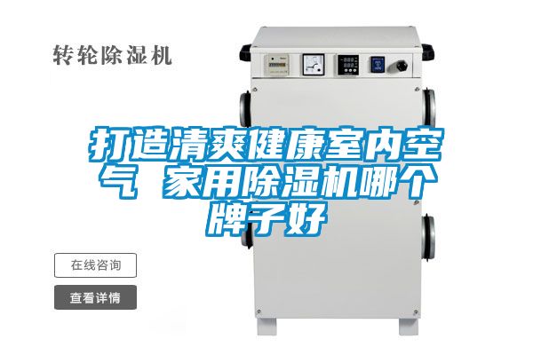 打造清爽健康室內(nèi)空氣 家用除濕機(jī)哪個(gè)牌子好
