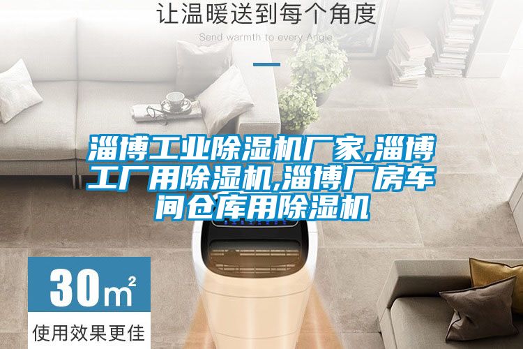 淄博工業(yè)除濕機(jī)廠家,淄博工廠用除濕機(jī),淄博廠房車間倉(cāng)庫(kù)用除濕機(jī)