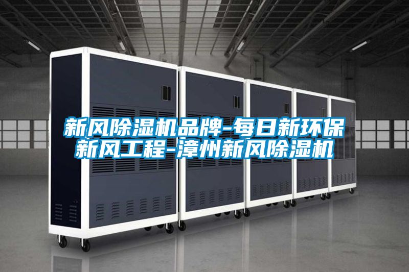 新風(fēng)除濕機(jī)品牌-每日新環(huán)保新風(fēng)工程-漳州新風(fēng)除濕機(jī)