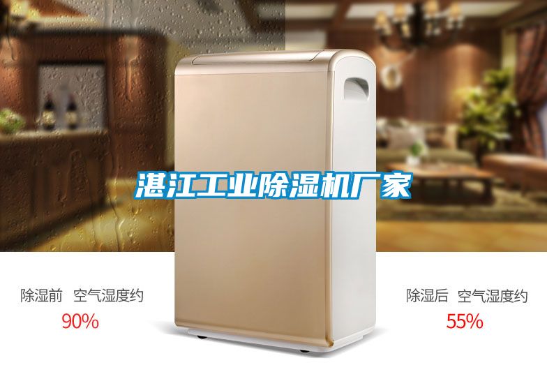 湛江工業除濕機廠家