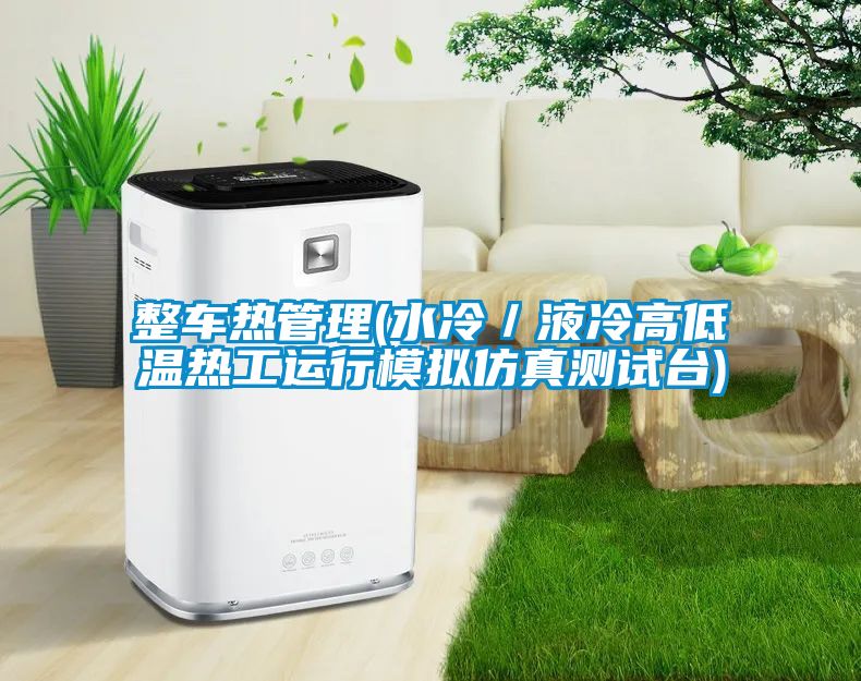 整車熱管理(水冷／液冷高低溫熱工運行模擬仿真測試臺)