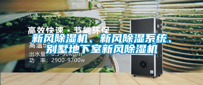 新風除濕機、新風除濕系統、別墅地下室新風除濕機