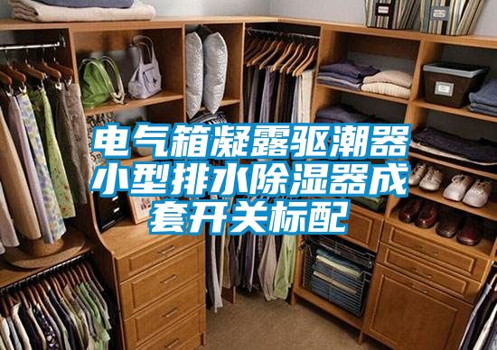 電氣箱凝露驅潮器小型排水除濕器成套開關標配
