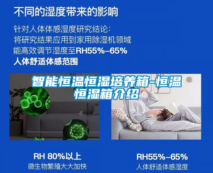 智能恒溫恒濕培養箱-恒溫恒濕箱介紹