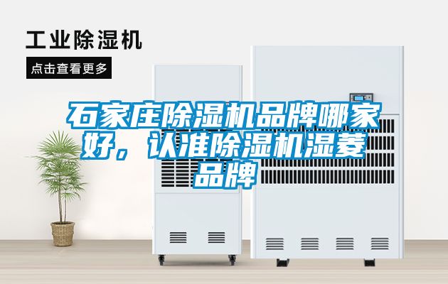 石家莊除濕機品牌哪家好,認準除濕機濕菱品牌