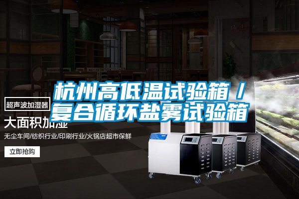 杭州高低溫試驗箱／復合循環鹽霧試驗箱