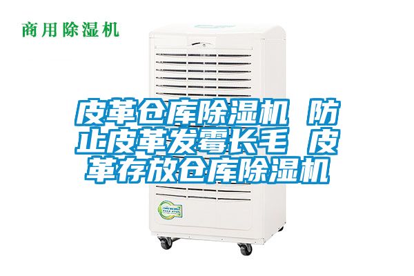 皮革倉庫除濕機 防止皮革發(fā)霉長毛 皮革存放倉庫除濕機