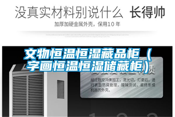 文物恒溫恒濕藏品柜（字畫恒溫恒濕儲藏柜）