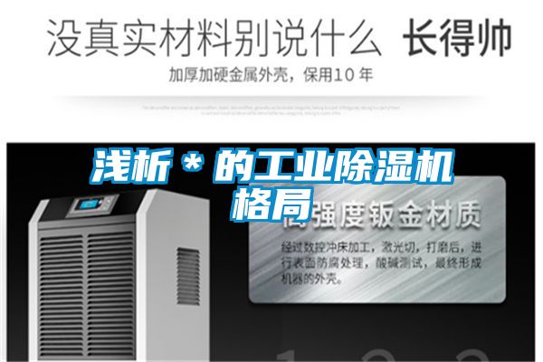 淺析＊的工業除濕機格局