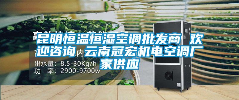 昆明恒溫恒濕空調批發商 歡迎咨詢 云南冠宏機電空調廠家供應