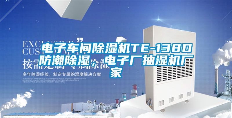 電子車間除濕機TE-138D防潮除濕，電子廠抽濕機廠家