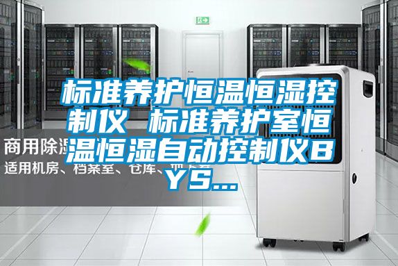 標準養護恒溫恒濕控制儀 標準養護室恒溫恒濕自動控制儀BYS...