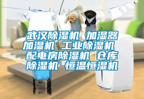 武漢除濕機 加濕器加濕機 工業除濕機 配電房除濕機 倉庫除濕機 恒溫恒濕機