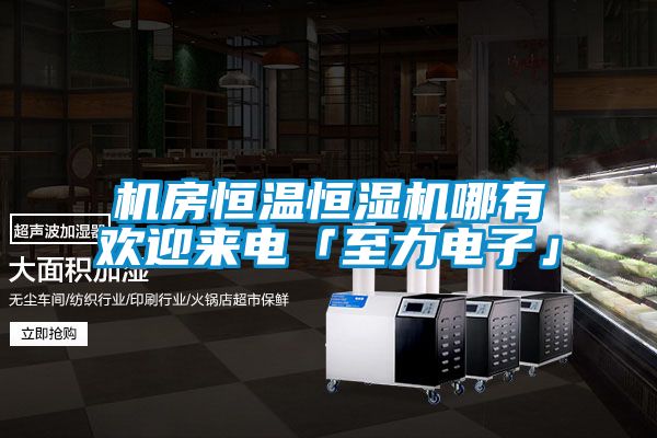 機(jī)房恒溫恒濕機(jī)哪有歡迎來(lái)電「至力電子」