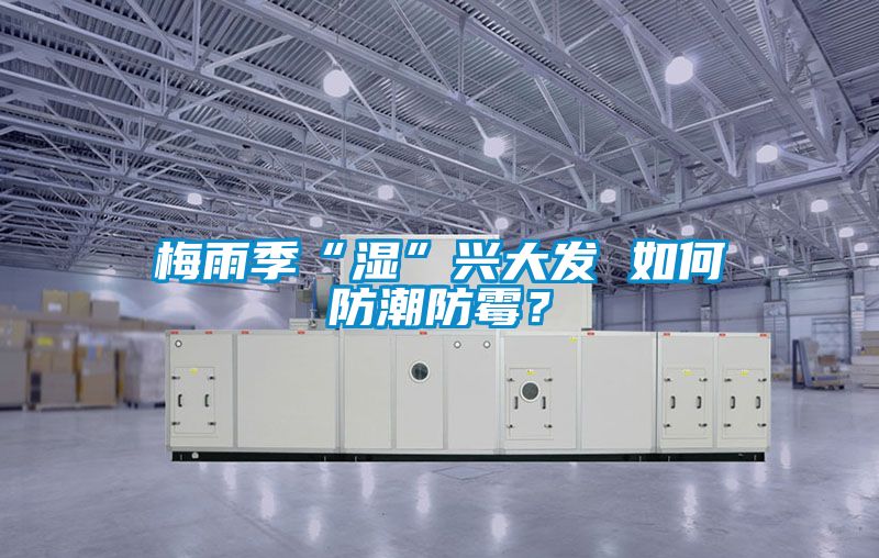 梅雨季“濕”興大發 如何防潮防霉？