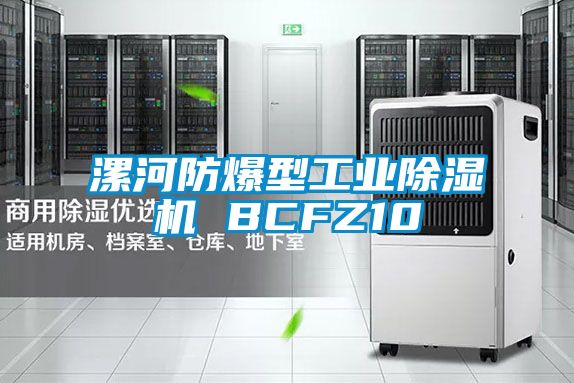 漯河防爆型工業除濕機 BCFZ10