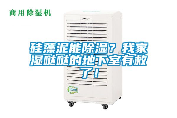 硅藻泥能除濕?我家濕噠噠的地下室有救了!