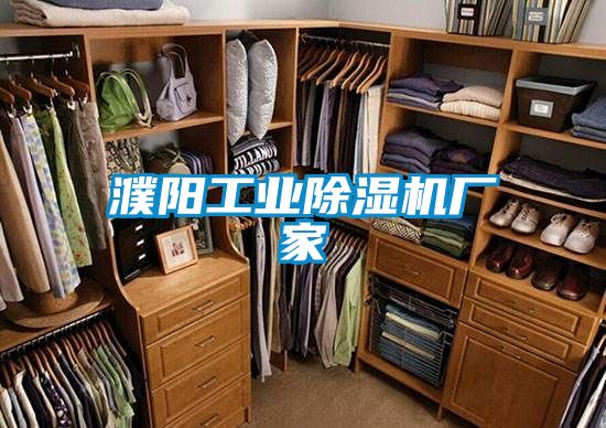 濮陽工業(yè)除濕機(jī)廠家