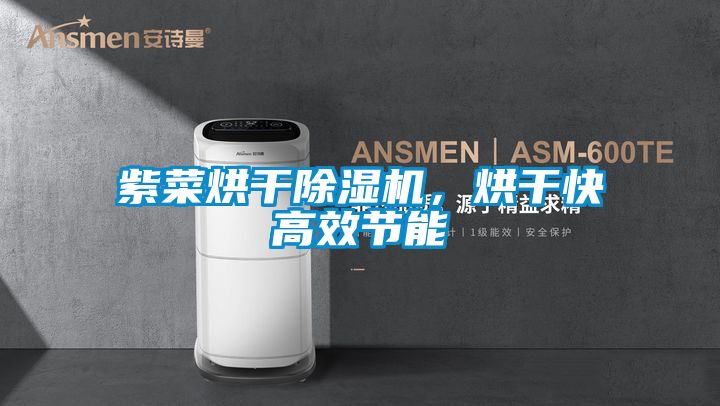 紫菜烘干除濕機,烘干快高效節能
