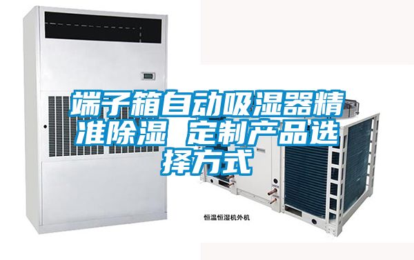 端子箱自動吸濕器精準除濕 定制產品選擇方式