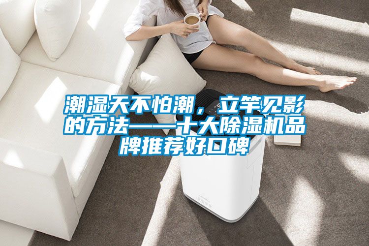潮濕天不怕潮，立竿見影的方法——十大除濕機品牌推薦好口碑