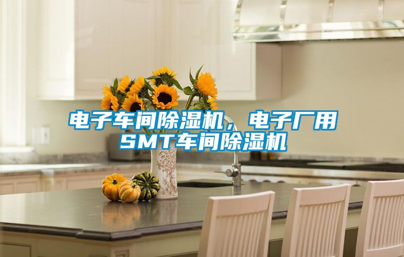 電子車(chē)間除濕機(jī)，電子廠用SMT車(chē)間除濕機(jī)