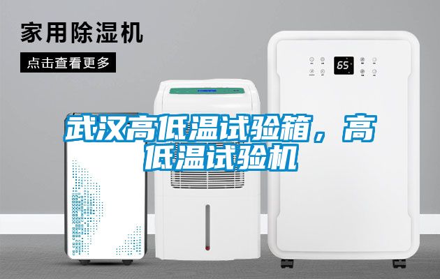 武漢高低溫試驗箱,高低溫試驗機