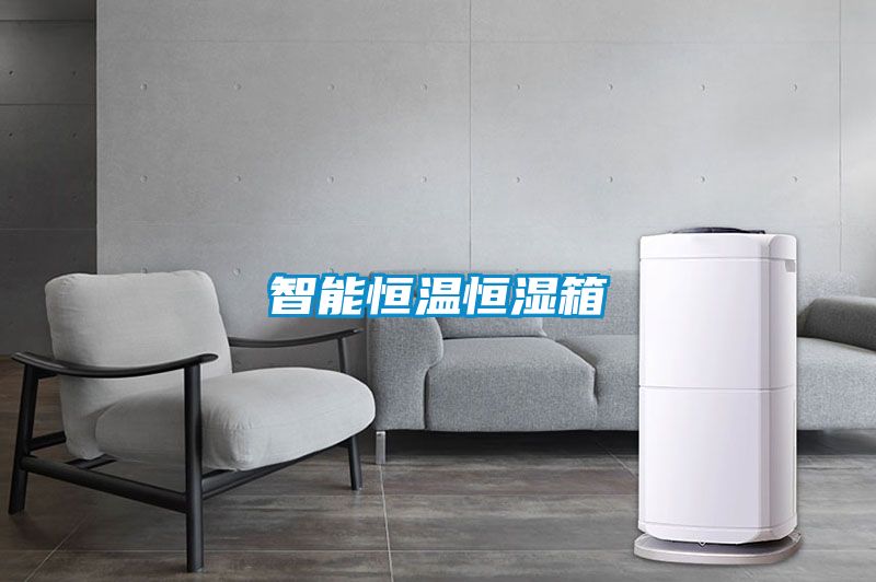 智能恒溫恒濕箱