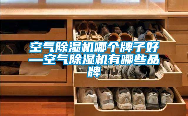 空氣除濕機哪個牌子好—空氣除濕機有哪些品牌