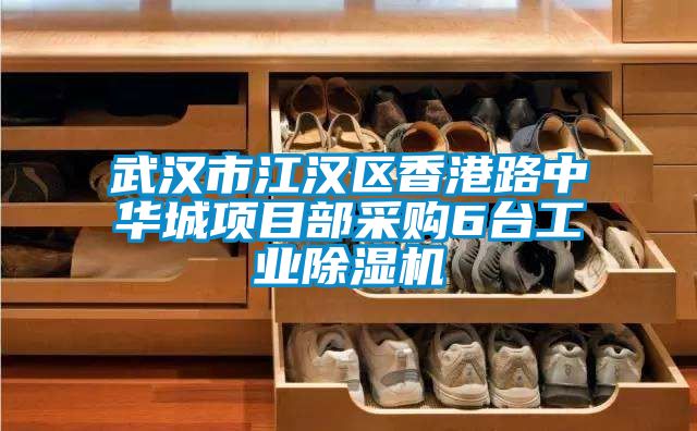 武漢市江漢區香港路中華城項目部采購6臺工業除濕機