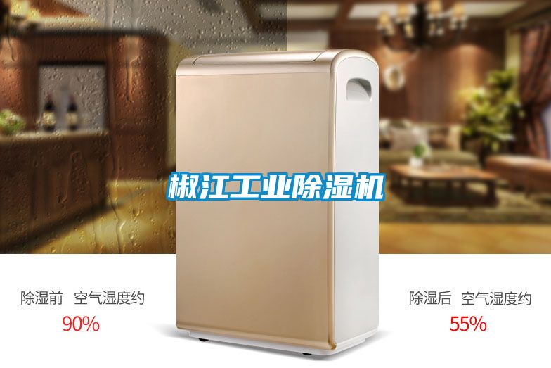 椒江工業(yè)除濕機(jī)