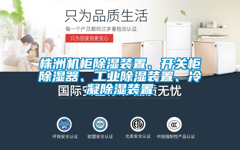 株洲機柜除濕裝置、開關柜除濕器、工業除濕裝置、冷凝除濕裝置