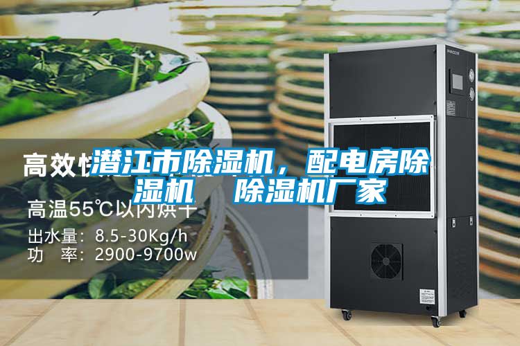 潛江市除濕機(jī)，配電房除濕機(jī)  除濕機(jī)廠家