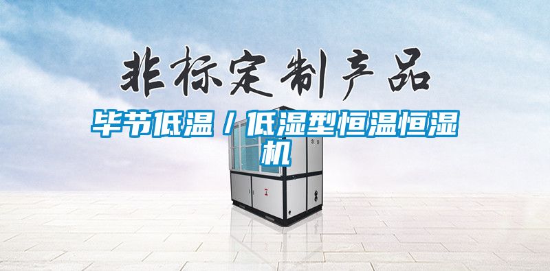 畢節低溫／低濕型恒溫恒濕機