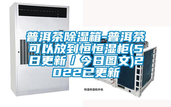 普洱茶除濕箱-普洱茶可以放到恒恒濕柜(5日更新／今日圖文)2022已更新