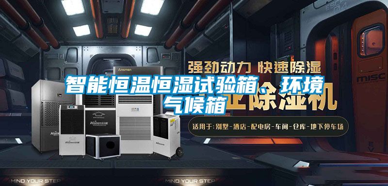 智能恒溫恒濕試驗箱、環境氣候箱