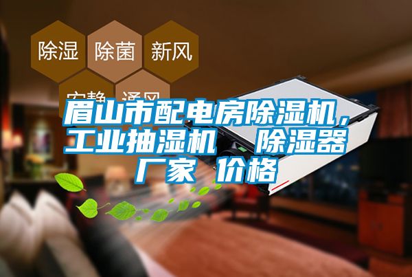 眉山市配電房除濕機,工業(yè)抽濕機 除濕器廠家 價格