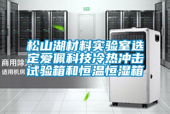 松山湖材料實驗室選定愛佩科技冷熱沖擊試驗箱和恒溫恒濕箱