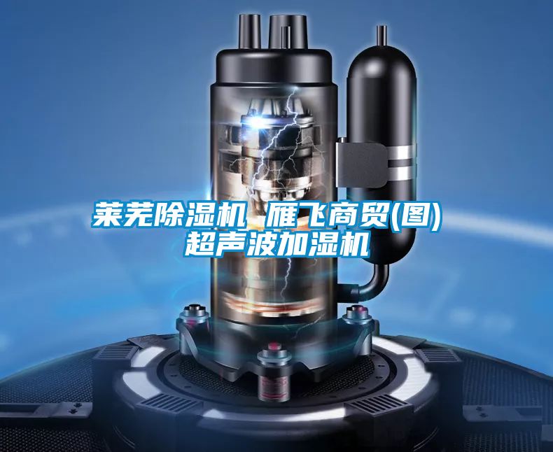 萊蕪除濕機 雁飛商貿(圖) 超聲波加濕機