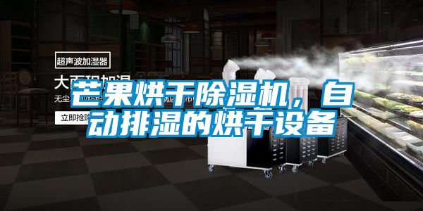 芒果烘干除濕機，自動排濕的烘干設(shè)備