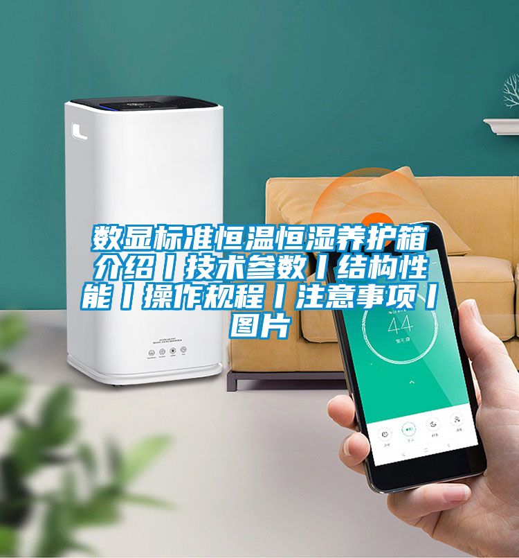 數顯標準恒溫恒濕養護箱介紹丨技術參數丨結構性能丨操作規程丨注意事項丨圖片