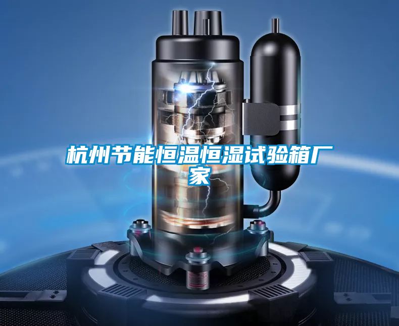 杭州節(jié)能恒溫恒濕試驗(yàn)箱廠家