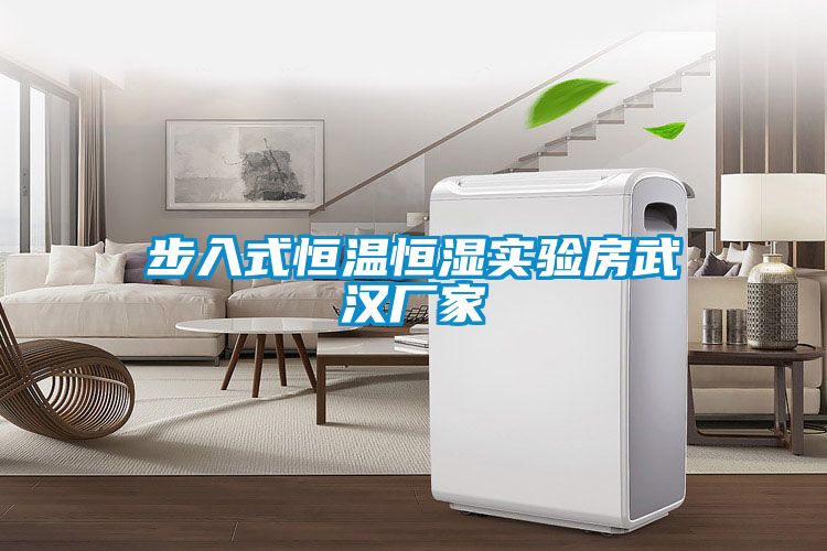 步入式恒溫恒濕實驗房武漢廠家