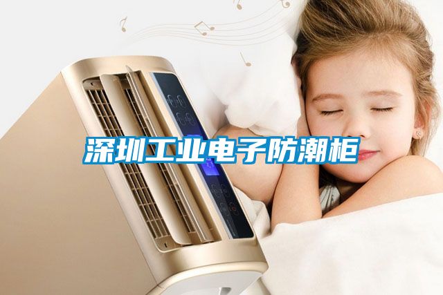 深圳工業電子防潮柜